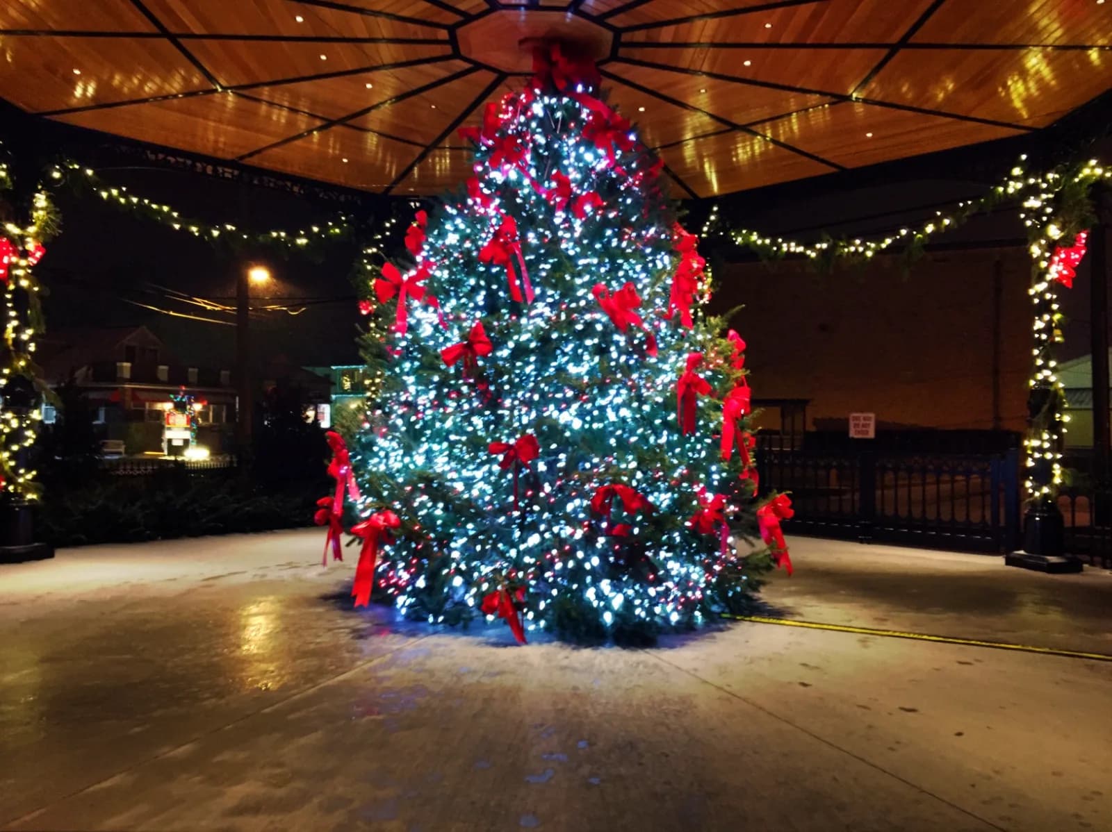 Cover image for Cape May Christmas 2026