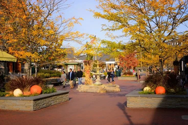 Cover image for Cape May Attractions