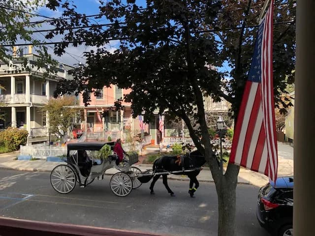 Cover image for Washington Street Mall – Cape May’s Heartbeat