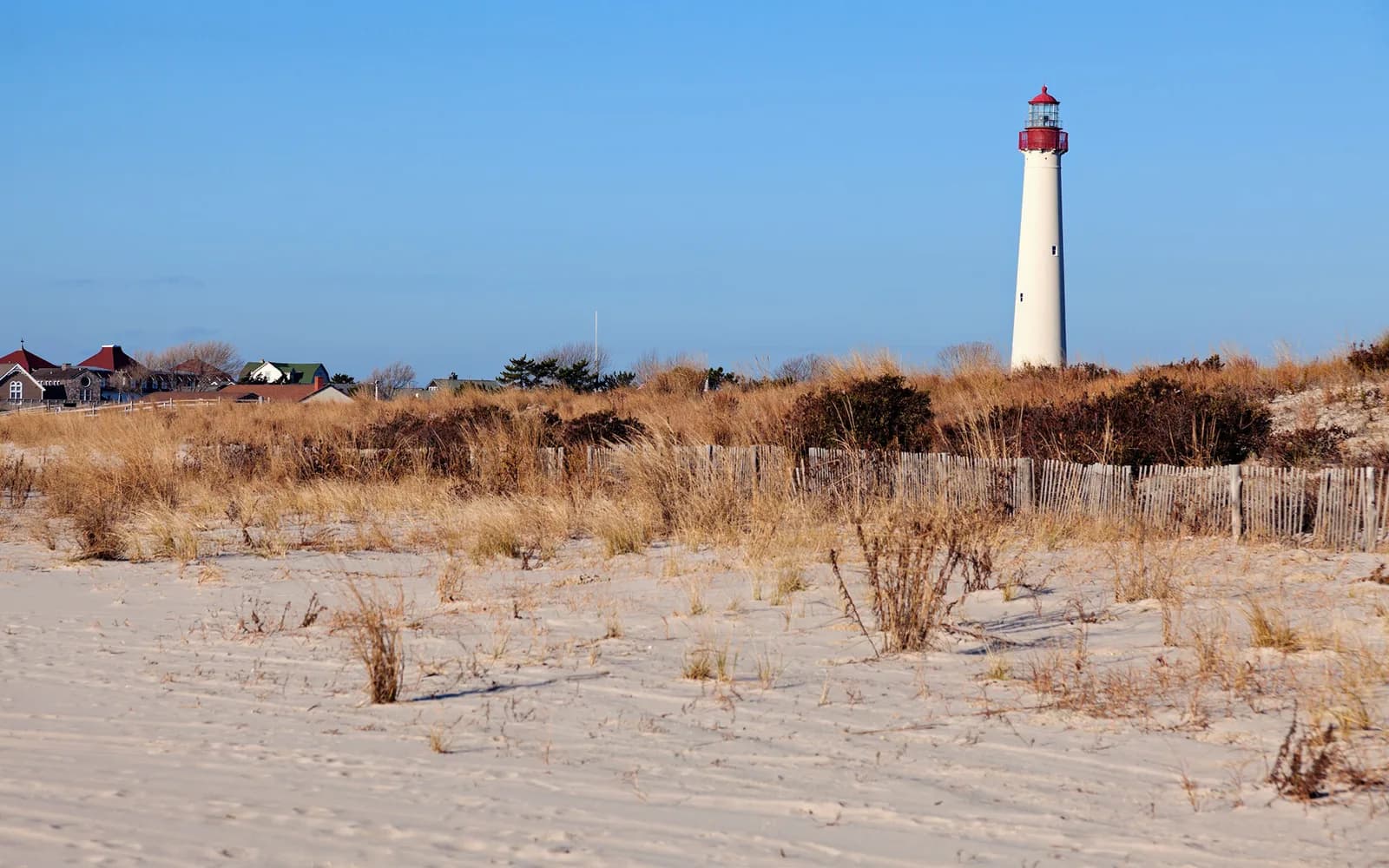Cover image for Cape May Lighthouse