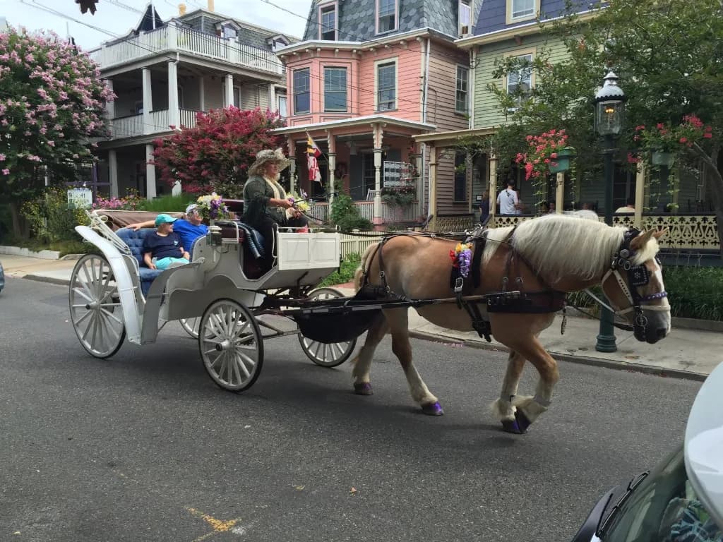 cape may rentals