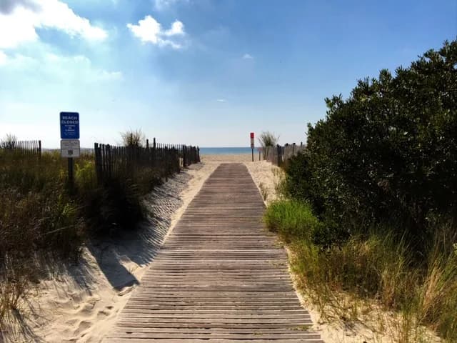 Cover image for Cape May Beaches