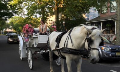 The Cape May Carriage Company