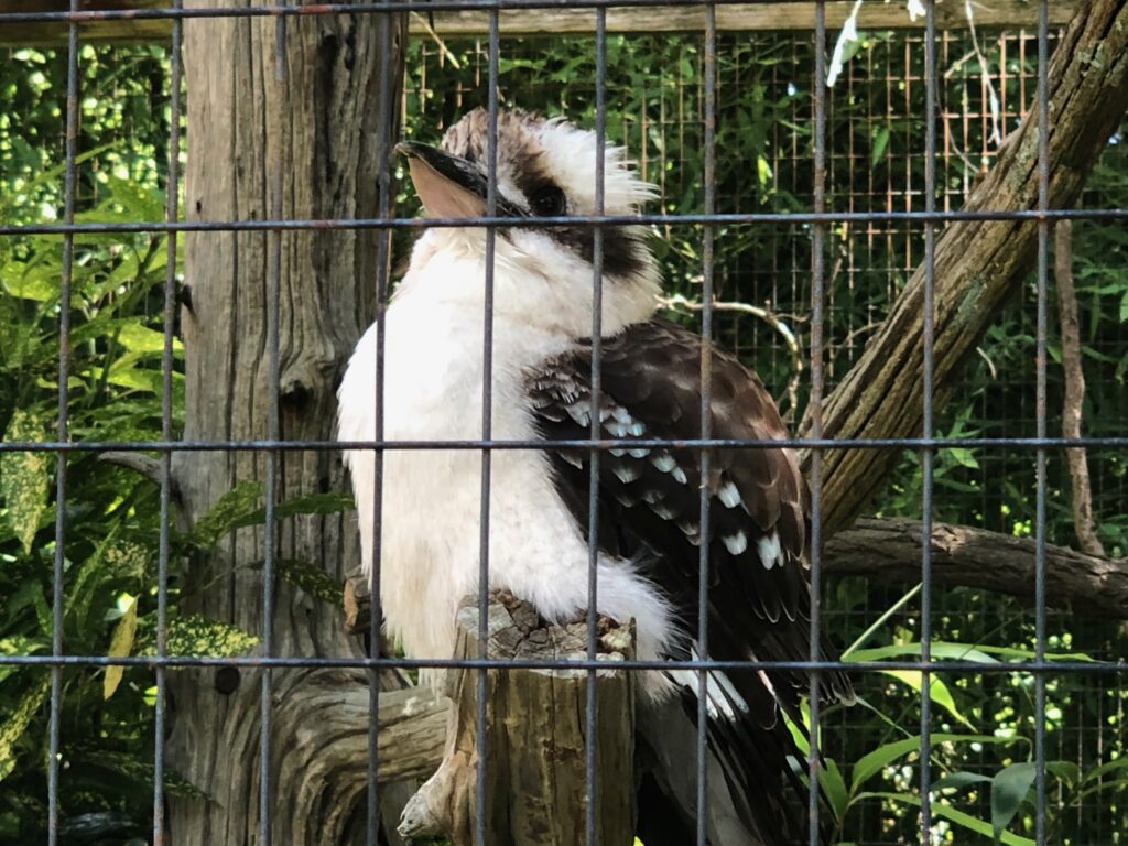Cape May Zoo - Cape May Vacation Rentals