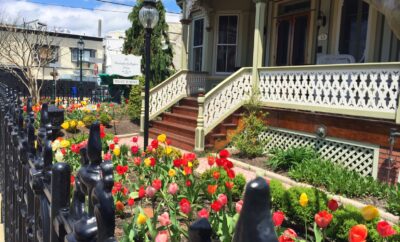 Gardens of Cape May Tour